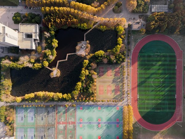 Accelerate your game: effective techniques for uk basketball athletes to boost speed and reflexes in defensive situations